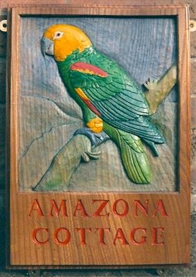 Amazona Cottage