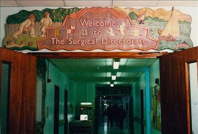 Welcome to the Surgical Directorate, Southampton General Hos