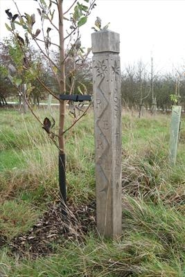 Grave Marker