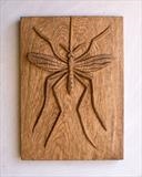 Banded Gnat by Jeremy Turner, Wood, carved wood relief