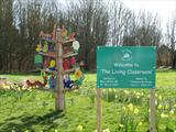 The Old basing Tree of Life by Jeremy Turner, Sculpture