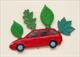 Red Foliate Car